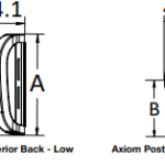 Posterior back dimensions