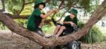 Polly Go Anywhere Magic360