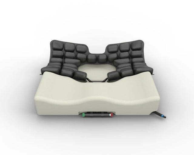 cells center no central it 640x512 1.webp