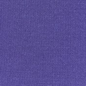 Convaid Coaster Special Needs Buggy 2 Younique Healthcare cordura sassypurple 1000x1000.jpg